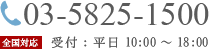 03-5825-1500